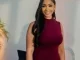 Seyi Tinubu Wife Biography