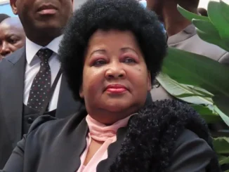 Dikeledi Magadzi Biography