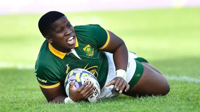 Lusanda Dumke Biography