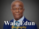 Wale Edun Biography